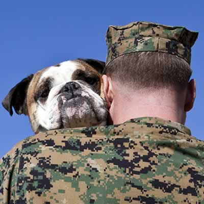 America's VetDogs offer free service dogs to our military and