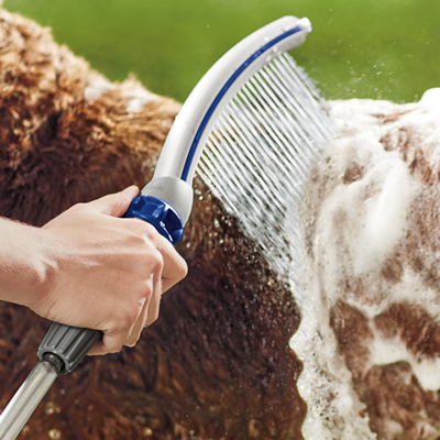 Dog on sale shower wand